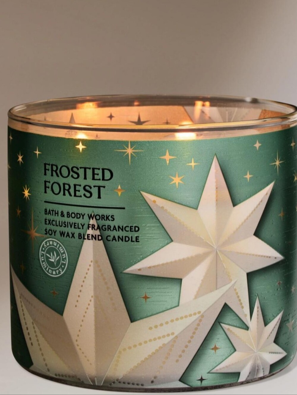 Bath & Body Works Frosted Forest Candle - Green & White **SMELLS AMAZING**